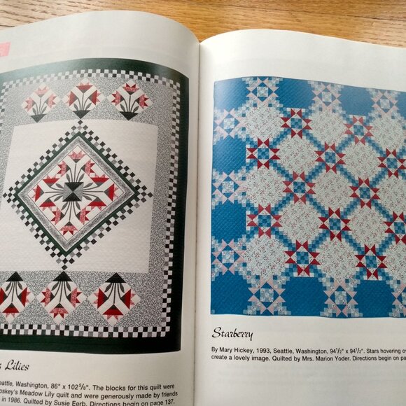 Vintage Joy of Quilting Pattern Book by That Patchwork Place - Picture 11 of 16